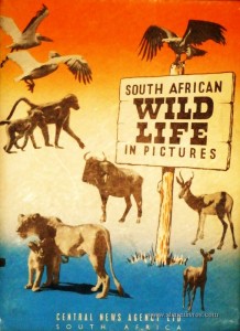 South African Wild Life in Pictures